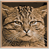 Custom bricked mosaic portrait made of natural wood