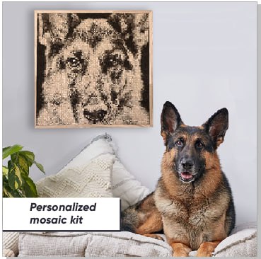 Pixel Photo Constructor Set (Size L)